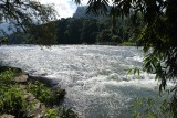 SAM_4300