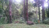IMAG0380