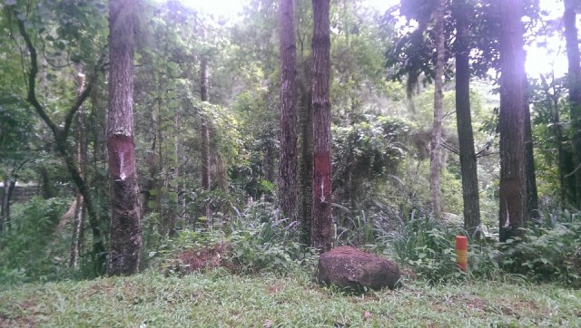 IMAG0380