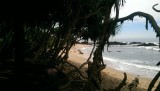 IMAG0337