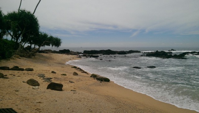 IMAG0339