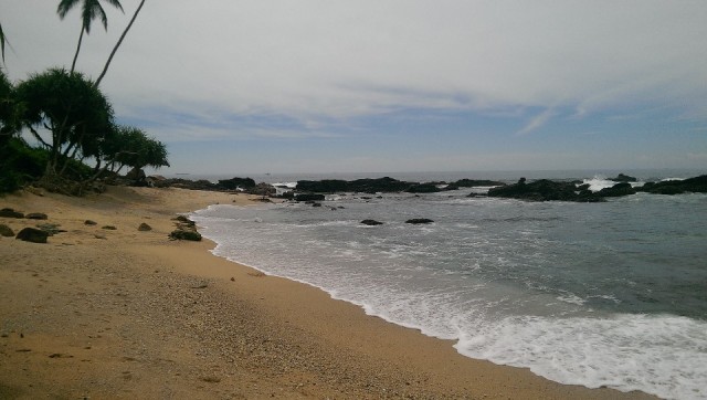 IMAG0340