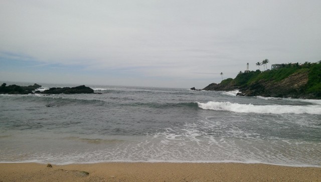 IMAG0346