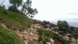 IMAG0353