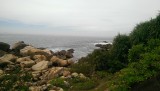 IMAG0354