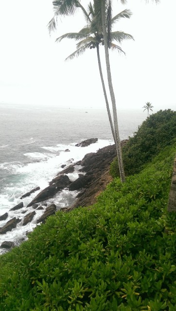 IMAG0359