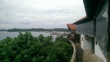 IMAG0361