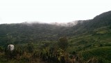 IMAG0367