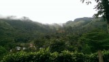 IMAG0369