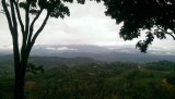 IMAG0373