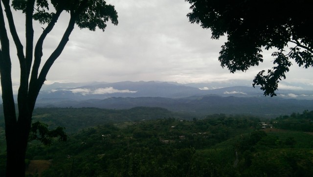 IMAG0376
