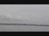 Walvissen <3