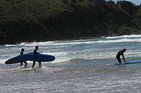 IMG_0028-XL