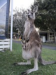 IMG_20191026_175948