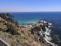 IMG_20191107_104529