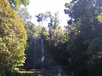 IMG_20191112_150445