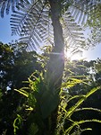 IMG_20191112_150341