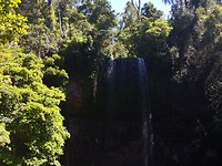 IMG_20191112_141347