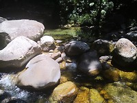 IMG_20191112_113408