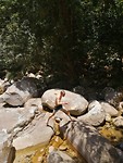IMG-20191113-WA0001