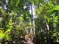 IMG_20191124_135331