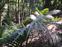 IMG_20191124_135229