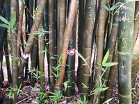 IMG_20191124_130037