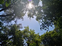 IMG_20191124_134806