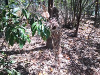 IMG_20191124_134519