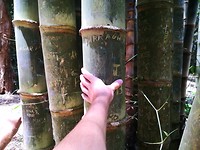 IMG_20191124_125934