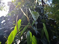 IMG_20191124_141720