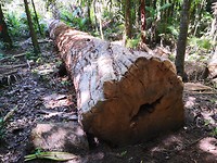 IMG_20191124_142233