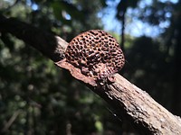 IMG_20191124_135100