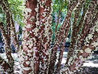 IMG_20191124_143857