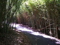 IMG_20191124_132247