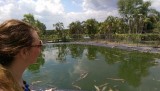 Crocs spotten in de rivier