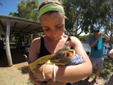 Bredls Farm Wallabie!