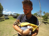 Tom en zn baby Wallabie!
