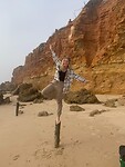 Wandelen over het strand