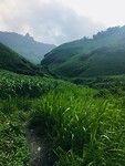 59B8B951-E179-40CA-8660-F4FD79247D35
