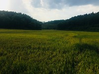1C1AB211-1723-4F9A-98A3-D291BCE96274
