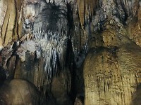310E391C-091F-4075-BDD4-18CA0F1FF3C1