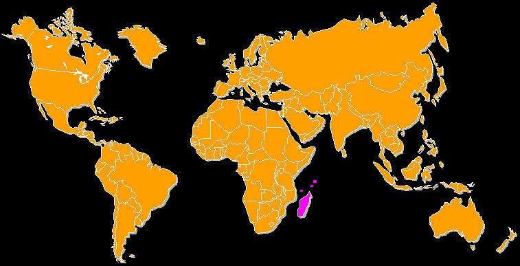 De Kaart Van Madagascar Op Een Wereldkaart Met Vlag E - vrogue.co
