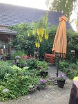 de tuin in volle glorie