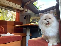 joepie!!!