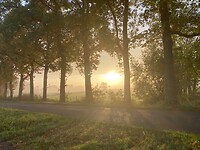 de morgenstond...