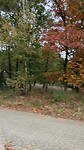 Wildkamperen