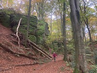 Uitgestrekte beukenbossen en rotsplateaus..o ja en Jessy