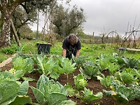 bezig in de moestuin