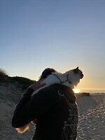 Goed uitzicht